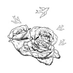 logo4abril_chavenas-01