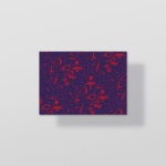 postalcards-mockup3