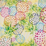 ananas-caminho